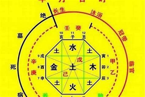 如何知道八字|生辰八字算命、五行喜用神查询（免费测算）